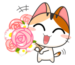 Meow